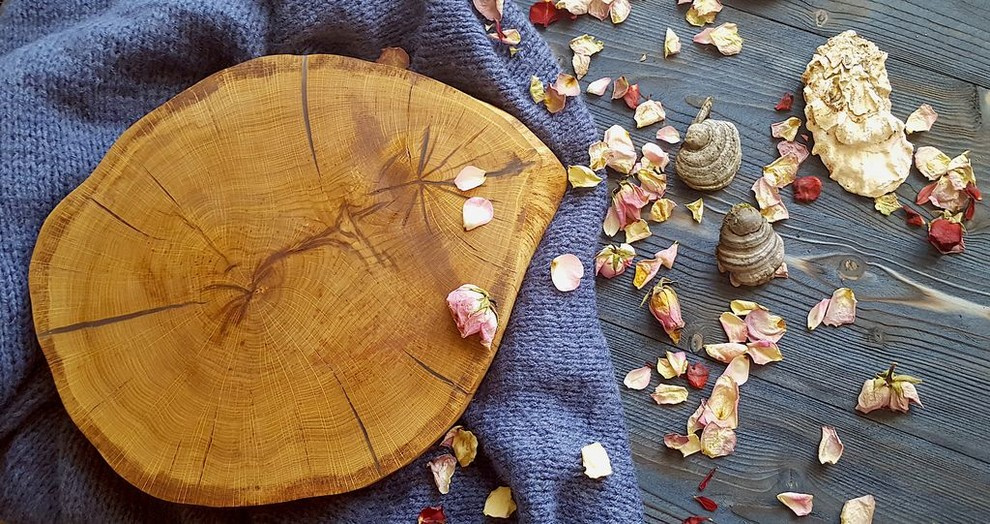 Спилы деревьев: дуб, сосна, ель, береза, можжевельник, тополь, ясень, ольха