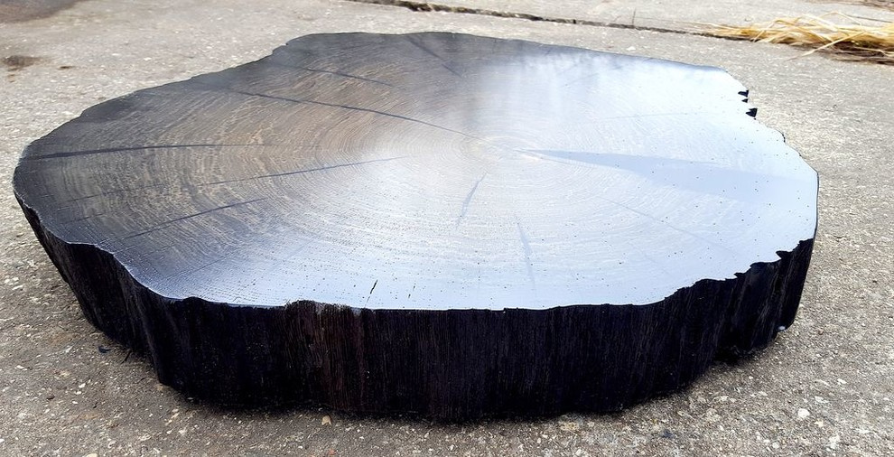 Спилы деревьев: дуб, сосна, ель, береза, можжевельник, тополь, ясень, ольха