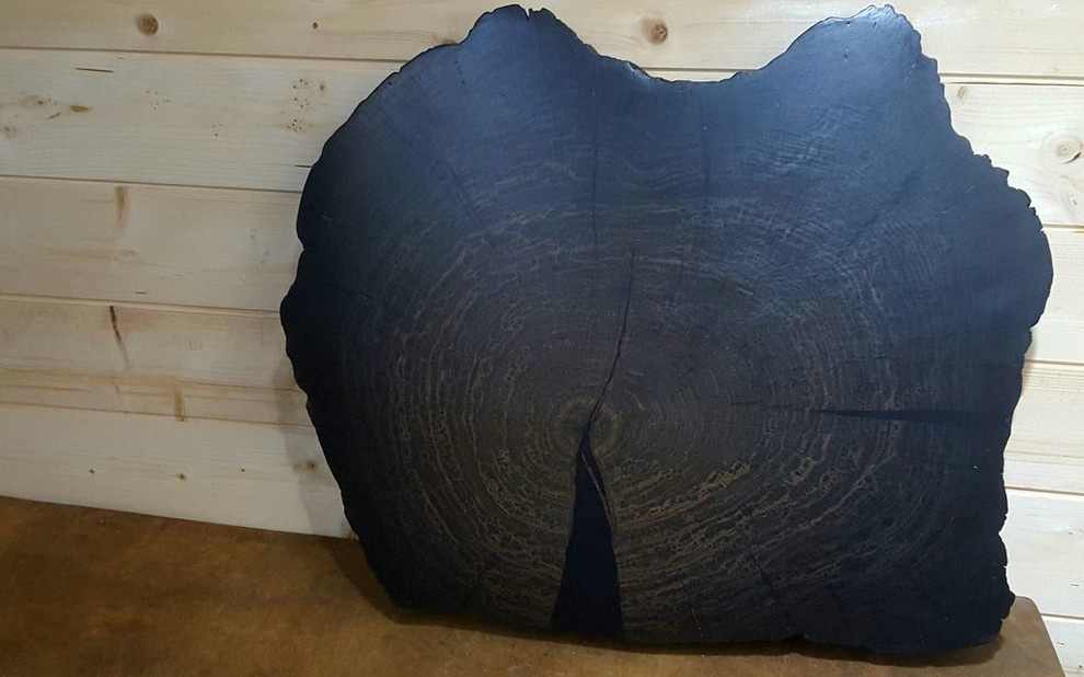 Спилы деревьев: дуб, сосна, ель, береза, можжевельник, тополь, ясень, ольха