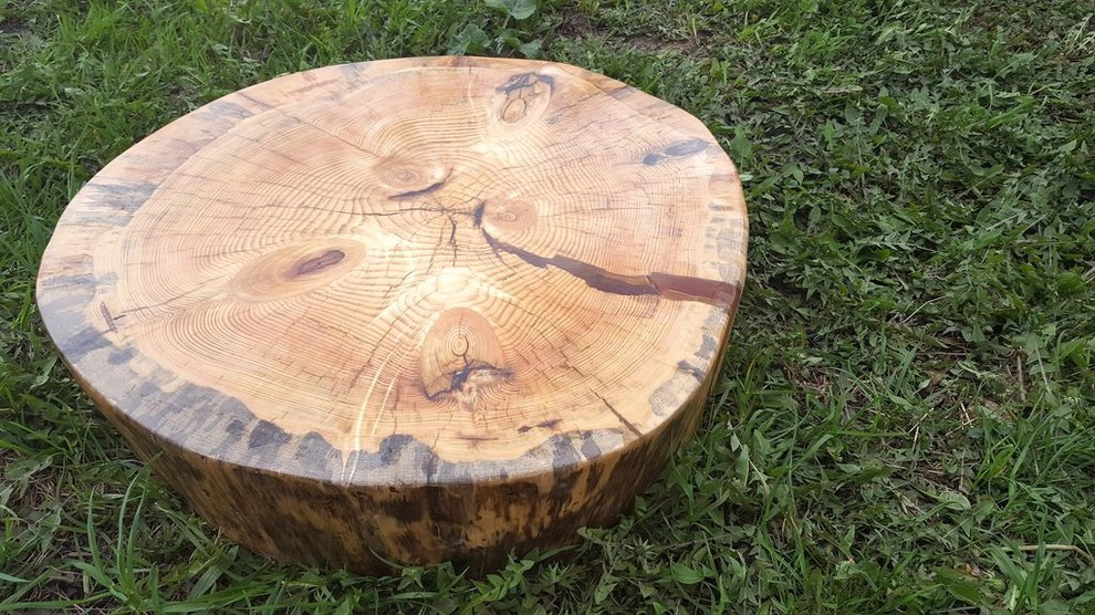 Спилы деревьев: дуб, сосна, ель, береза, можжевельник, тополь, ясень, ольха