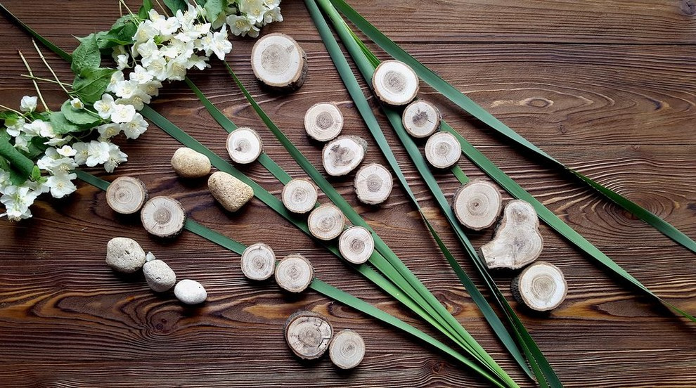 Спилы деревьев: дуб, сосна, ель, береза, можжевельник, тополь, ясень, ольха