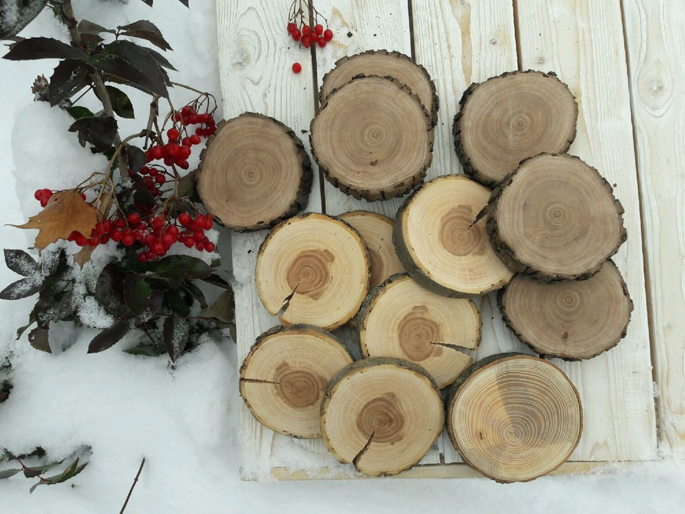 Спилы деревьев: дуб, сосна, ель, береза, можжевельник, тополь, ясень, ольха