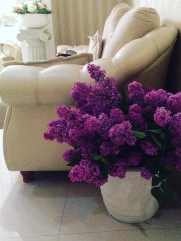 Проект «Олимп обетованный»