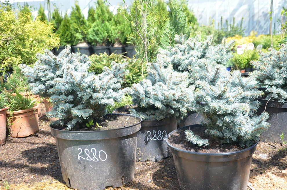 Ландшафтный дизайн