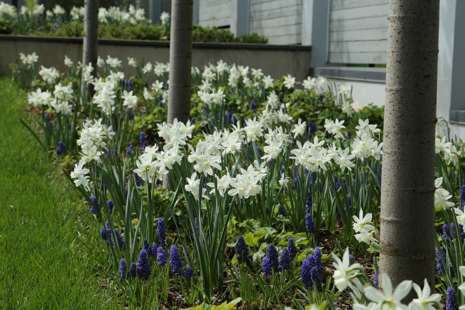 Перспектива