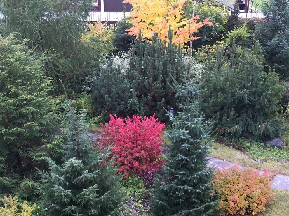 Ландшафт. Фелисово.