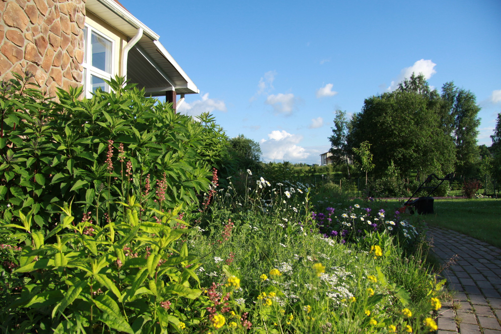 Проект Ла-Манш