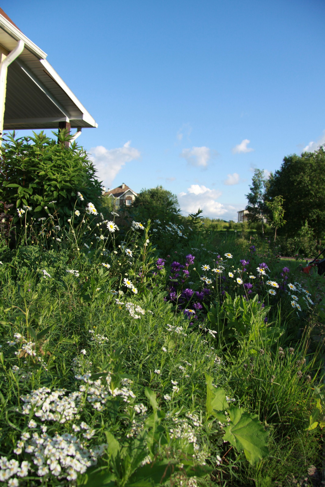 Проект Ла-Манш