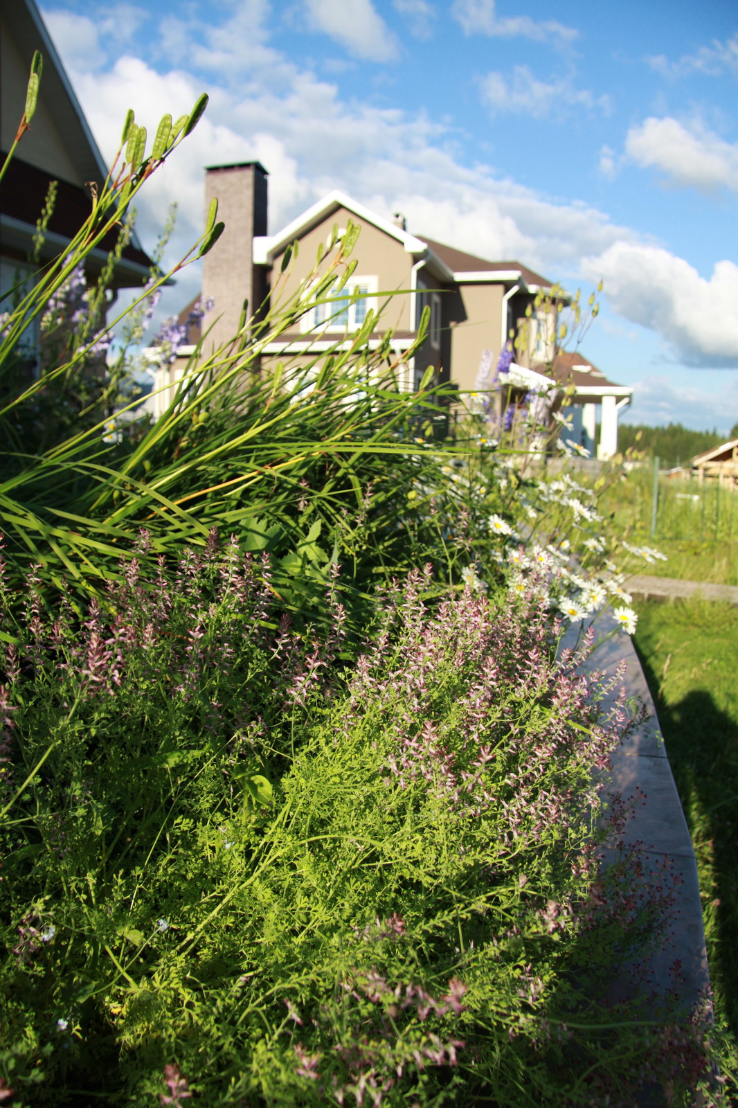 Проект Ла-Манш