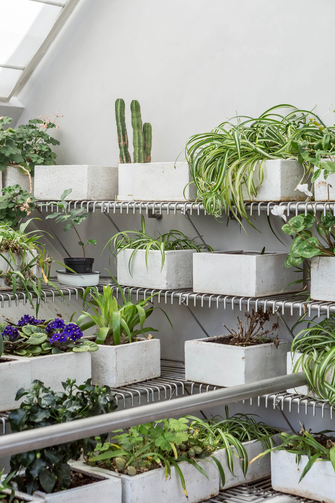 Хамовники для Houzz