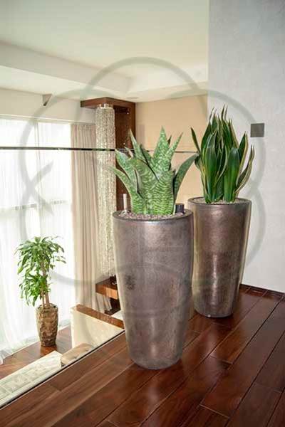 Пентхауссп