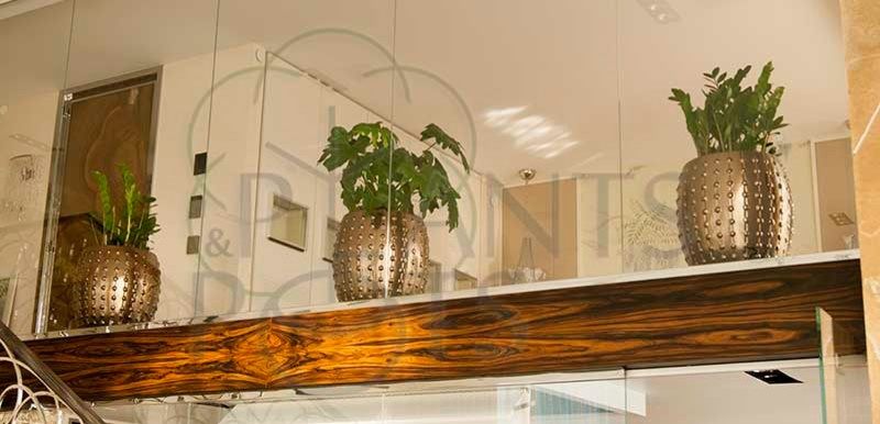 Обложка проекта: Пентхаус