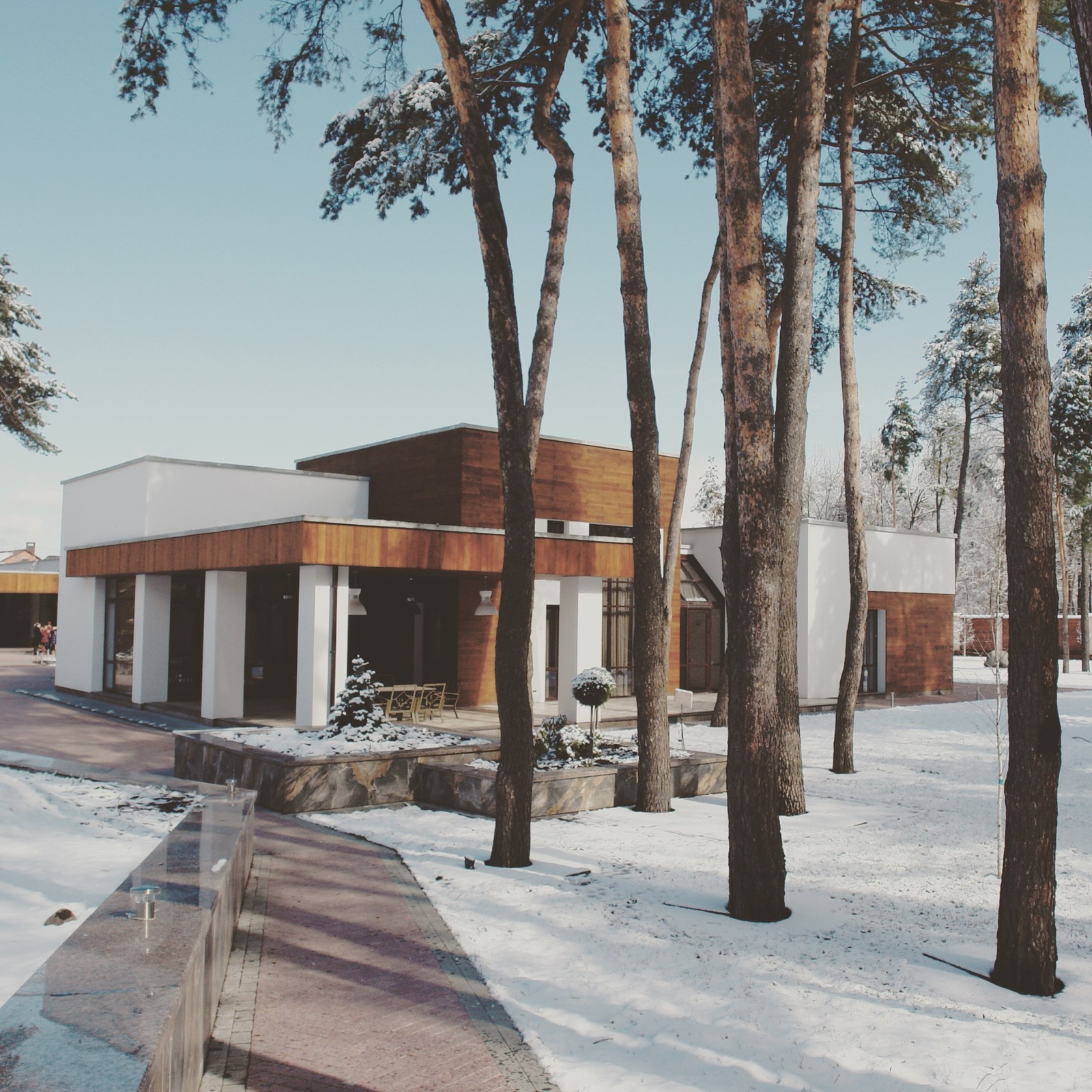 Обложка проекта: Современный дом в сосновом бору