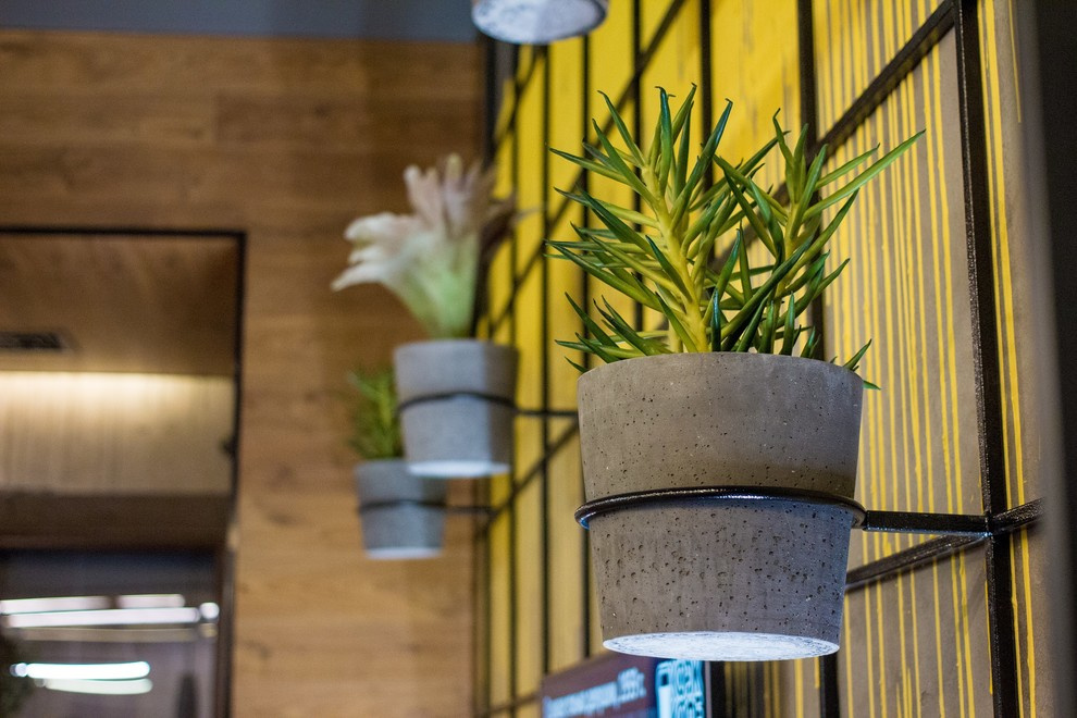 Обложка проекта: Стрит-кафе "Коржик"