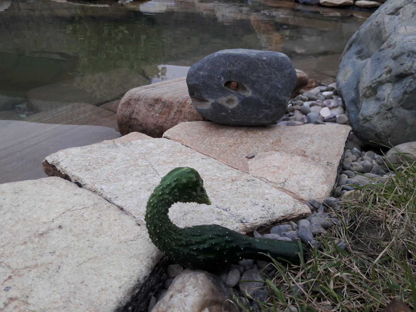водоемы , цветники