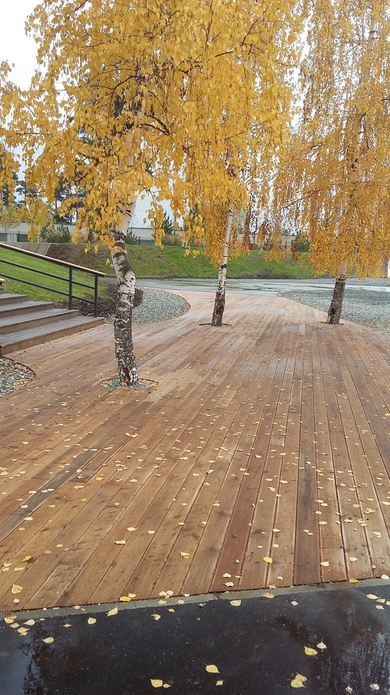 парк им.Урицкого