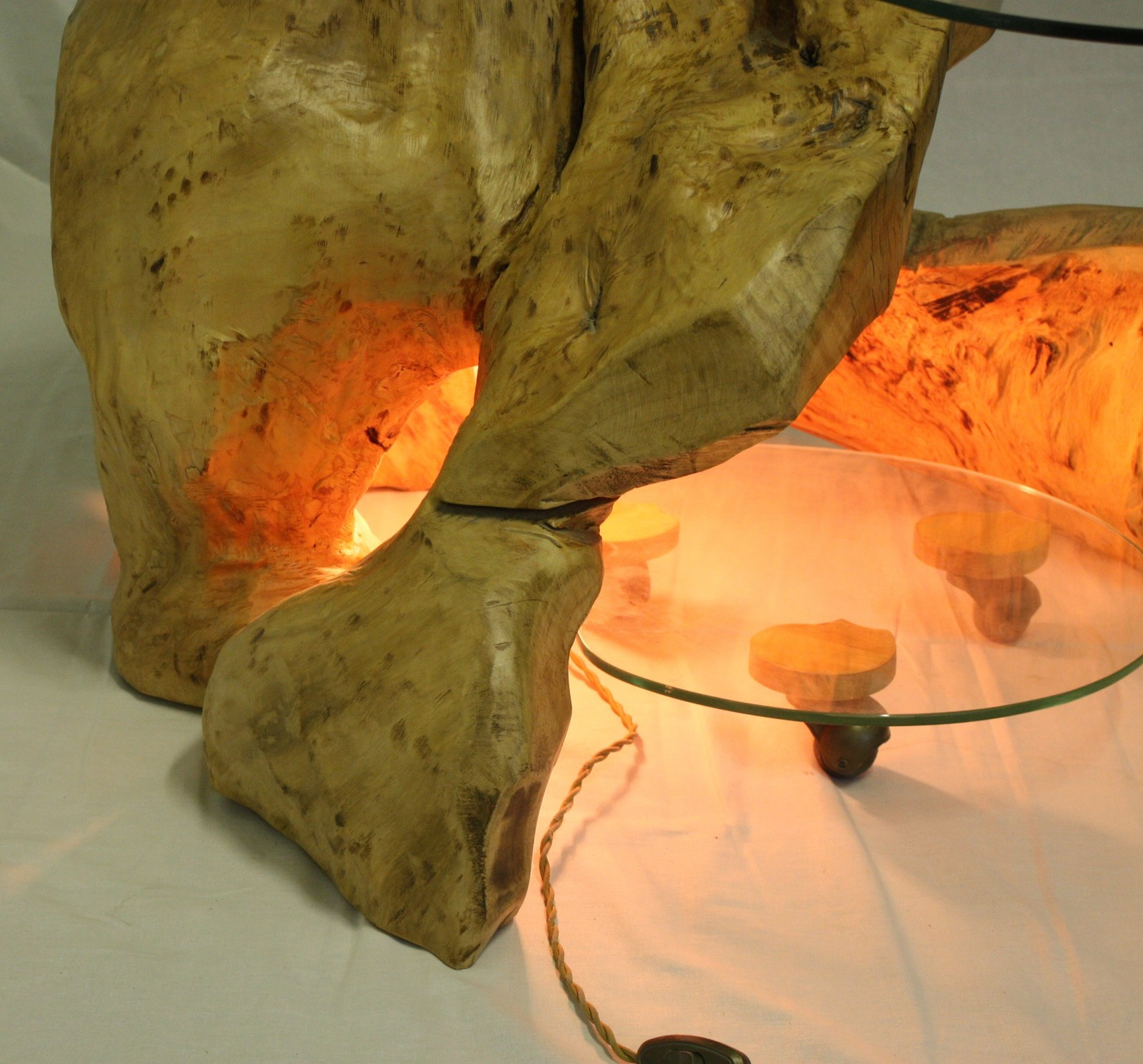 Обложка проекта: Корнепластика