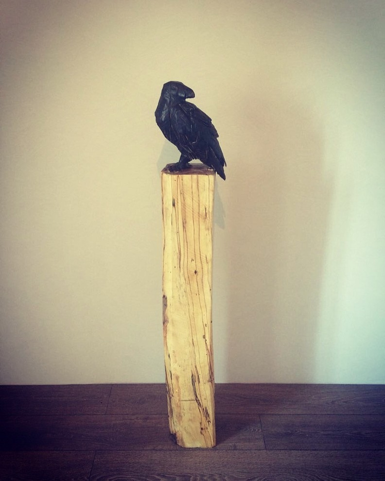 Обложка проекта: Ворон