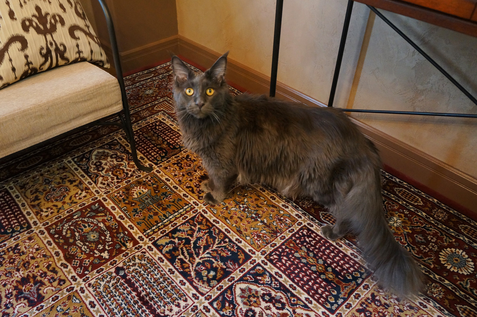 Квартира по ул. Партизана Железняка, г. Красноярск