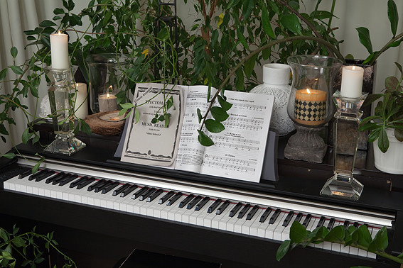 Обложка проекта: Квартира вблизи Университета