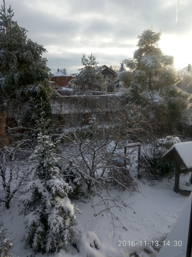 Красив в любое время года