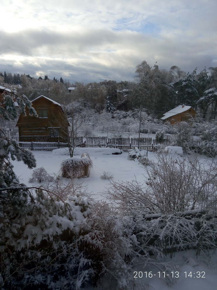 Красив в любое время года