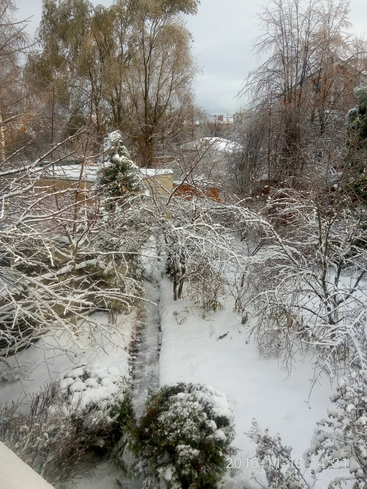 Красив в любое время года