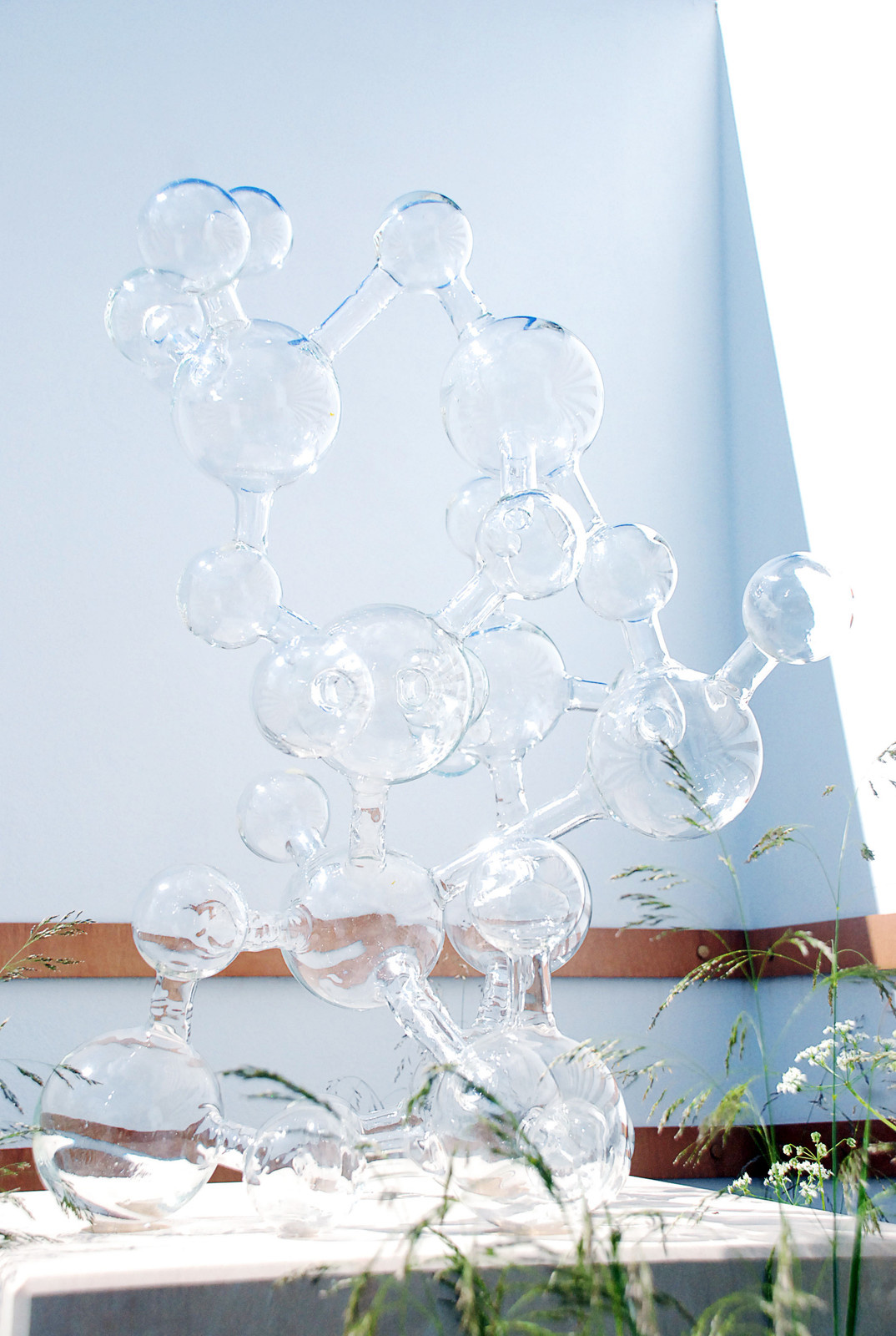 Проект недели: Молекулярный сад на выставках в Малверне и Москве