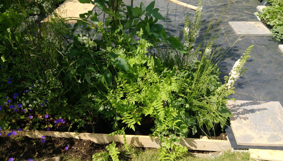 Проект недели: Молекулярный сад на выставках в Малверне и Москве