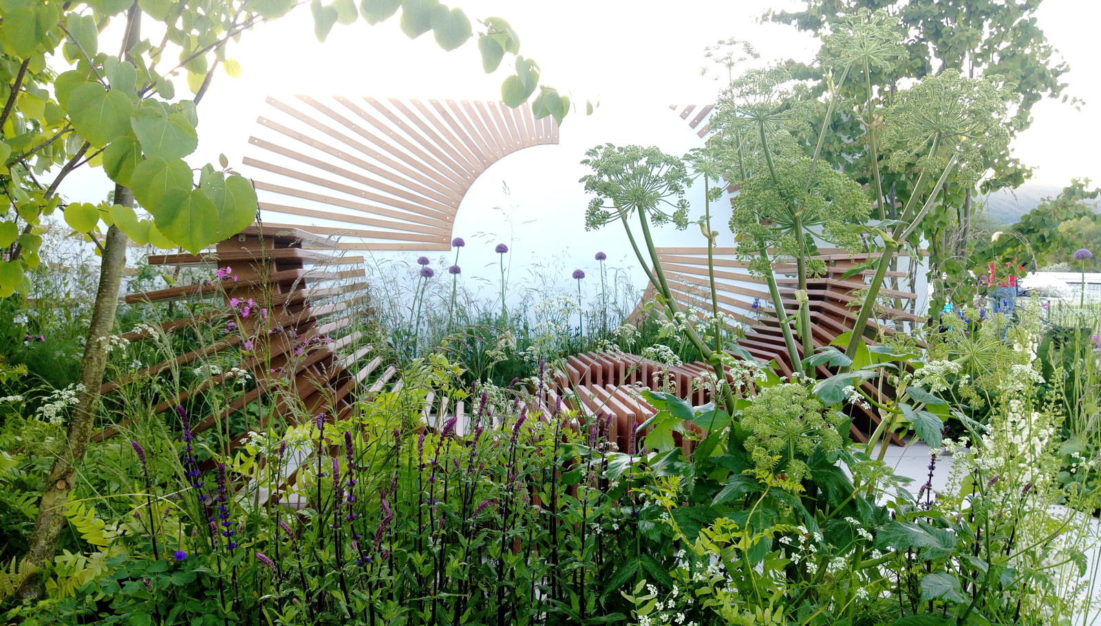 Проект недели: Молекулярный сад на выставках в Малверне и Москве