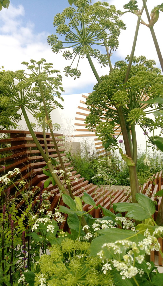 Проект недели: Молекулярный сад на выставках в Малверне и Москве