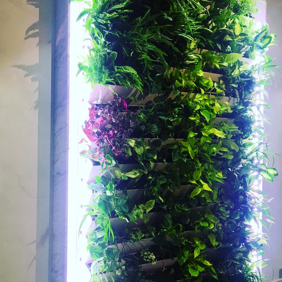 Зеленая живая стена