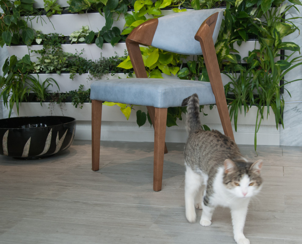 Зеленая живая стена