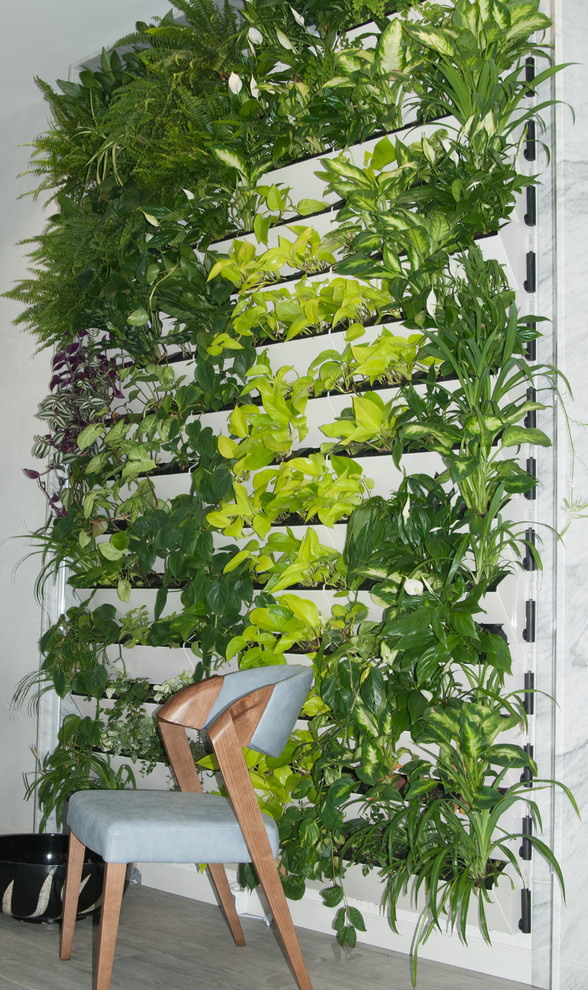 Зеленая живая стена