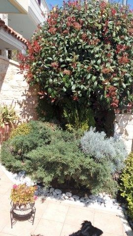 Внутренний двор.