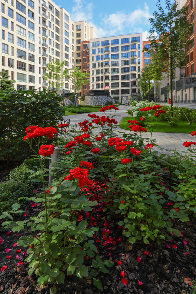 ЖК "Barrin House", Москва.  Работы по благоустройству и озеленению - АО Ривьера