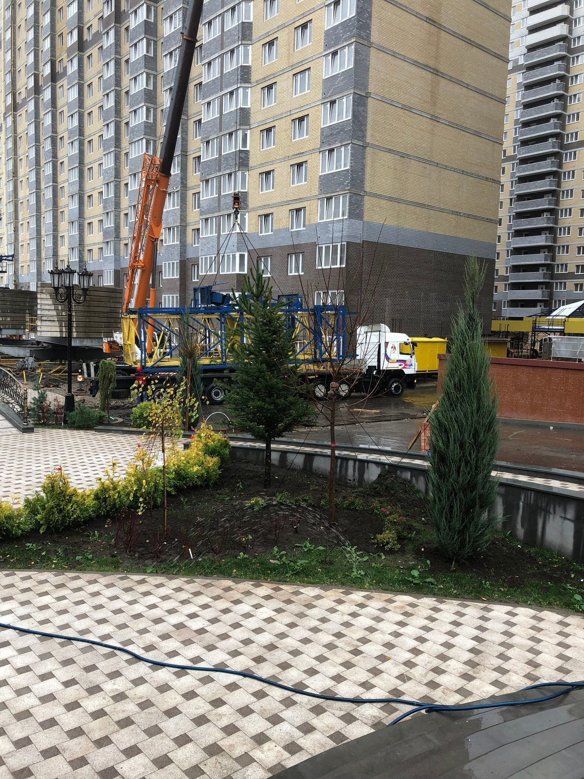 Обложка проекта: Аллея