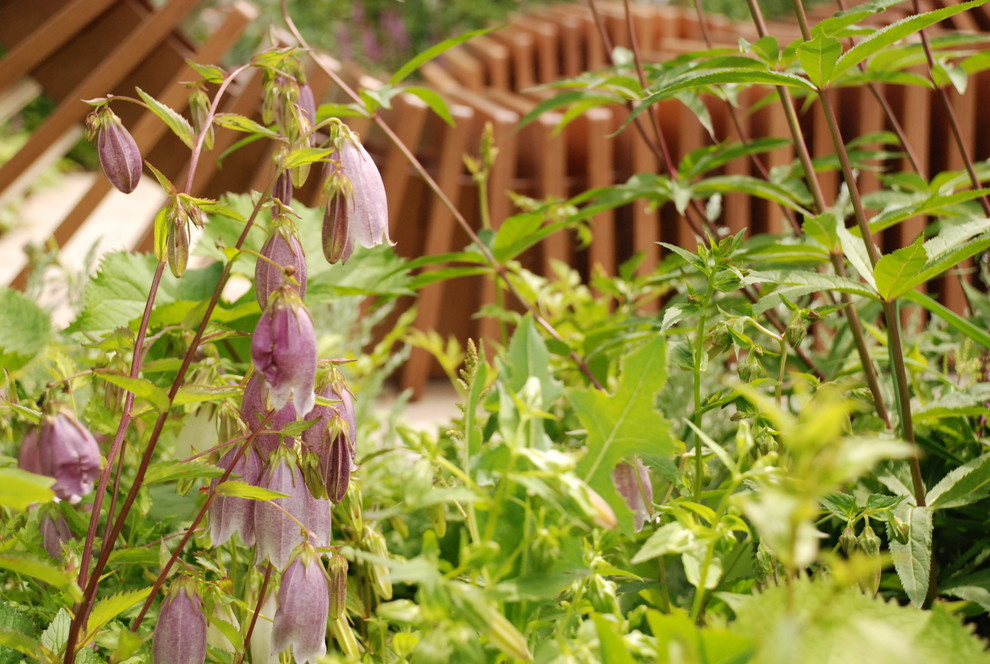 Проект недели: Молекулярный сад на выставках в Малверне и Москве