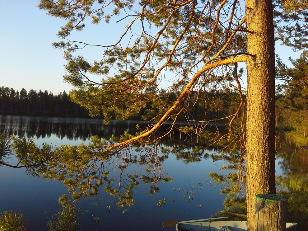 Обложка проекта: У дачный дом