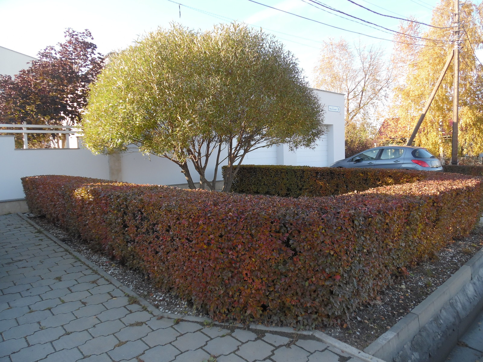 Маленький камерный сад.