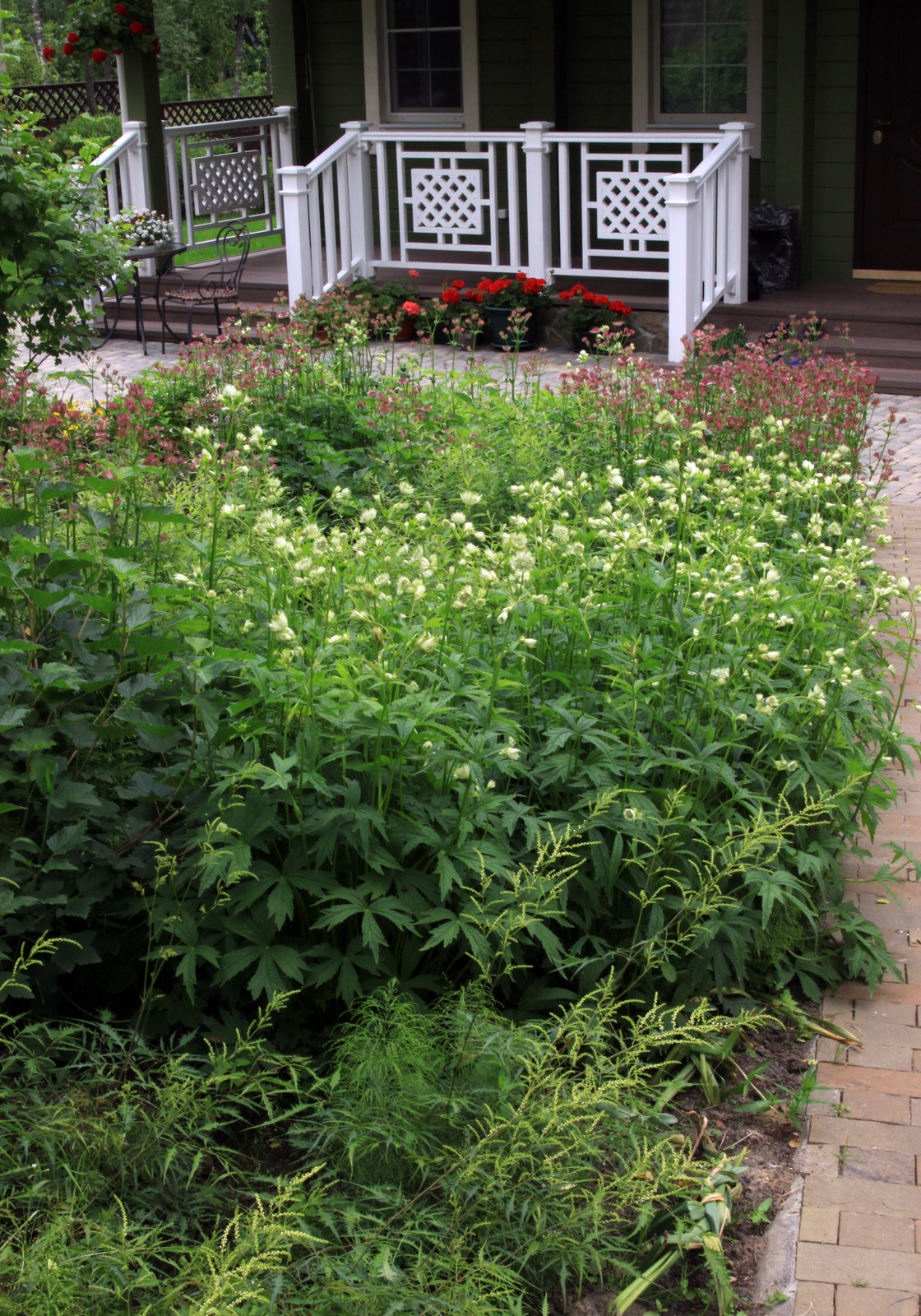 Проект "Волны" Верхний сад