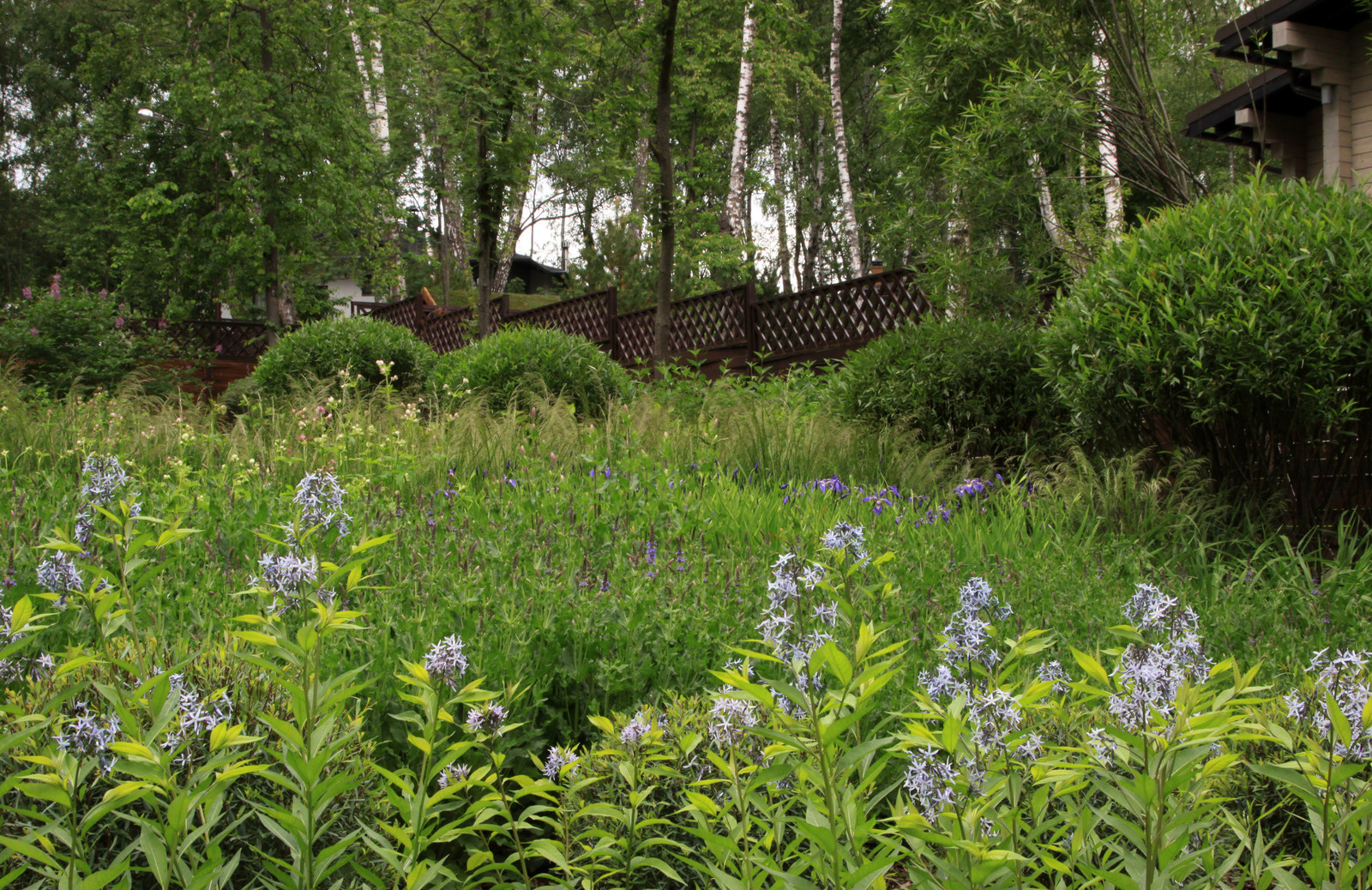 Проект "Волны" Нижний сад