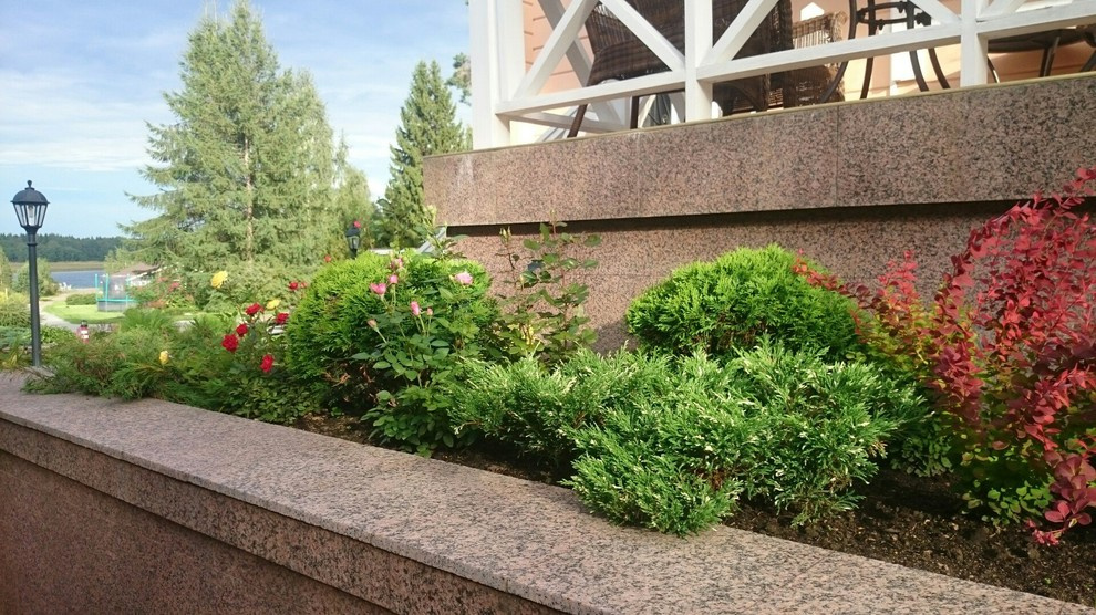 Хвойные и розы