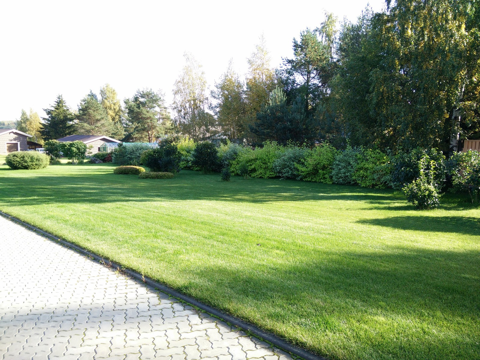 Устройство и продажа рулонного газона