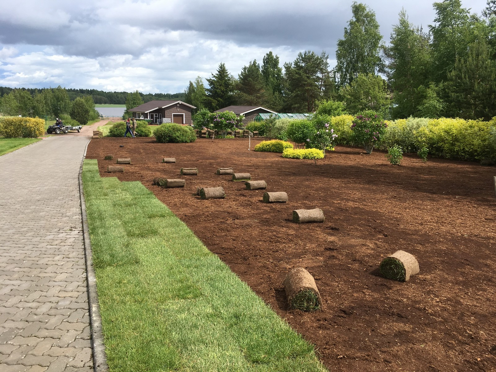 Устройство и продажа рулонного газона