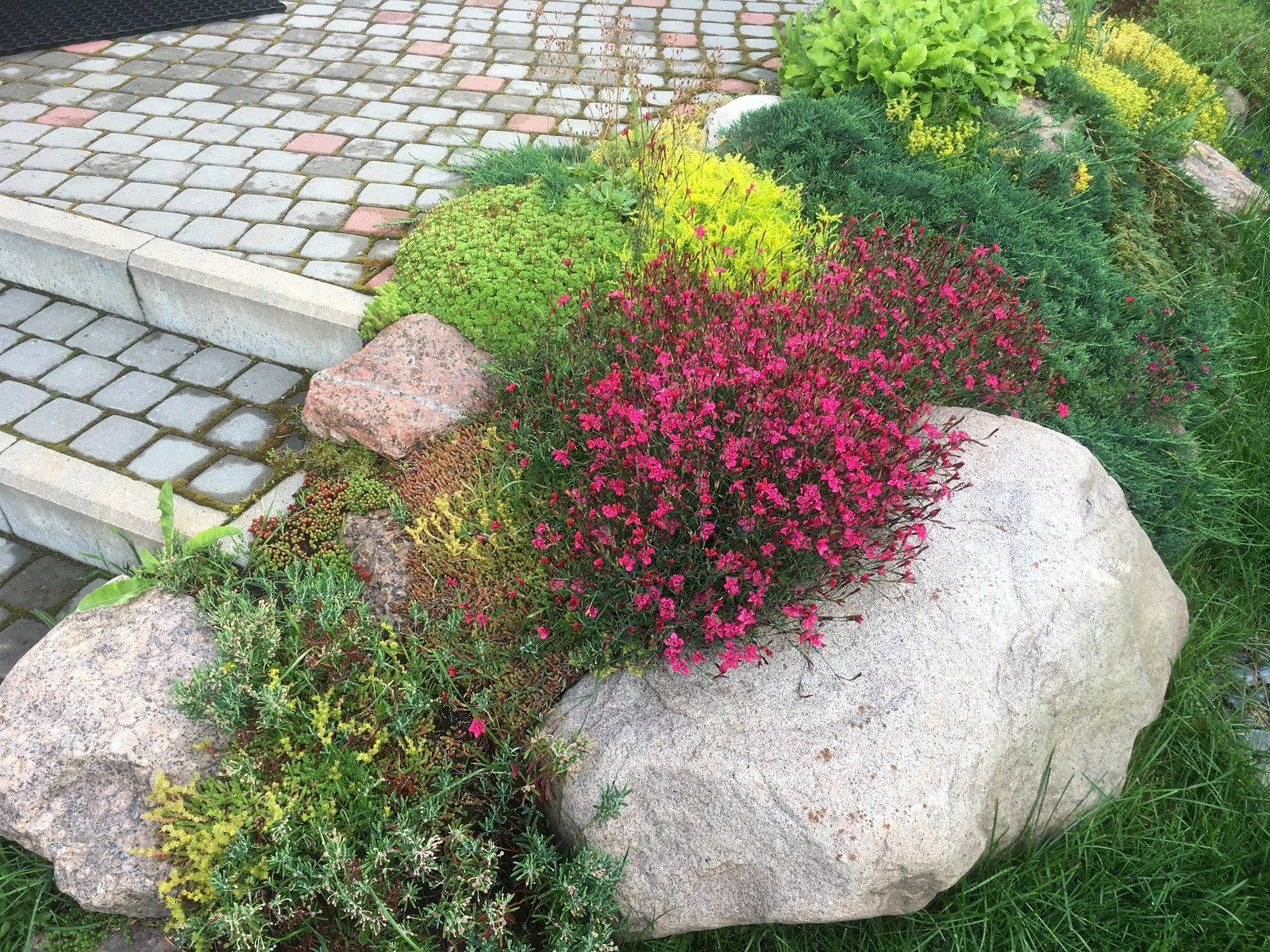 Обрезка деревьев и кустов.