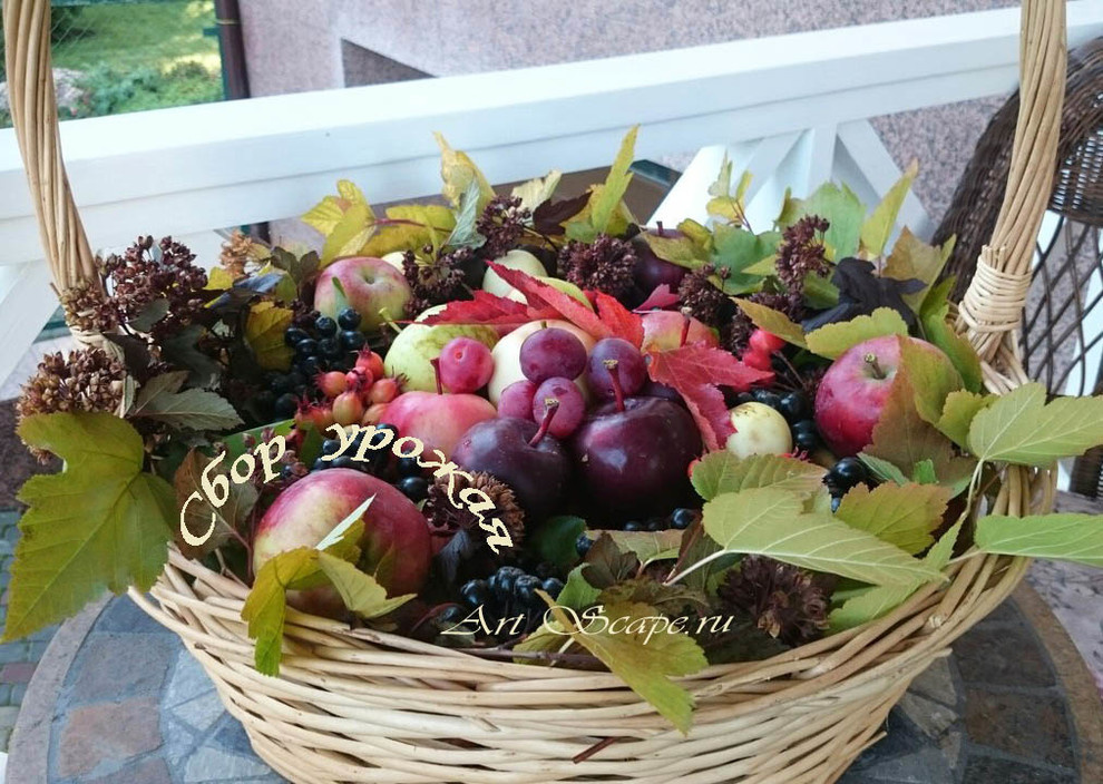 Сбор урожая.