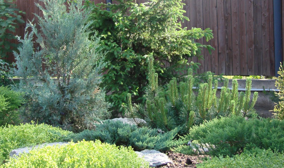 Композиция из хвойных и мхов.