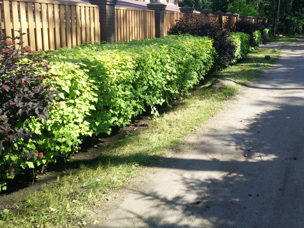 Живая изгородь