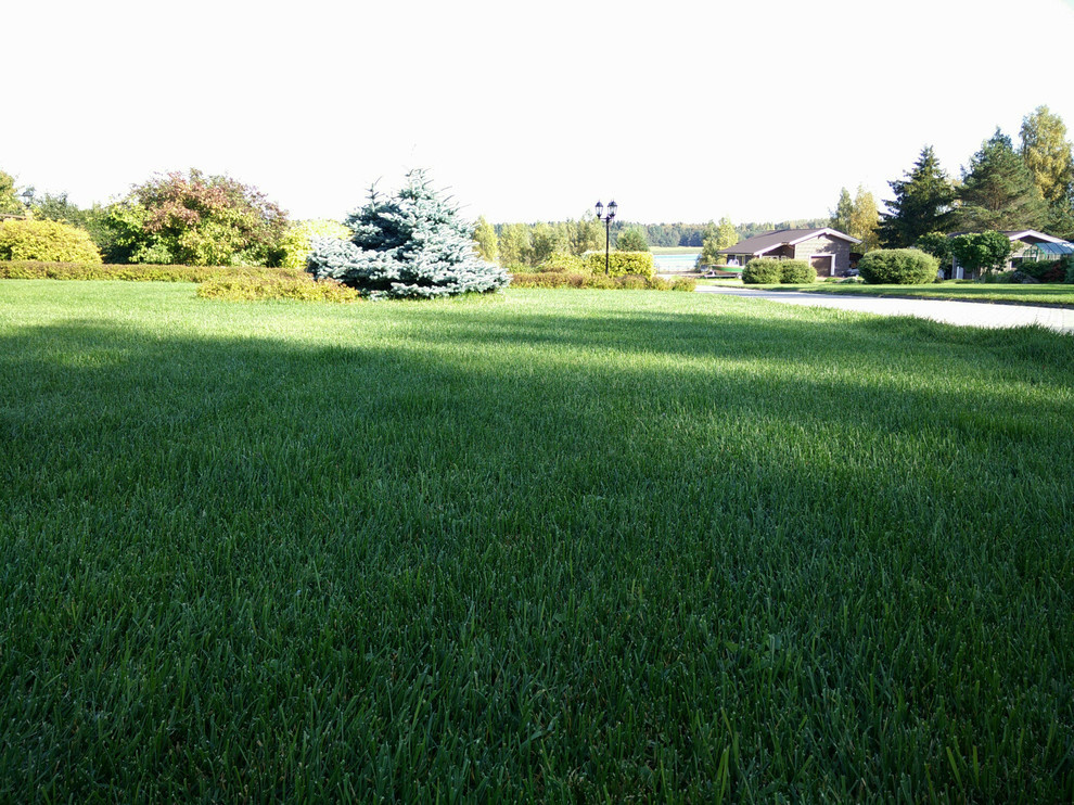 Устройство рулонного газона